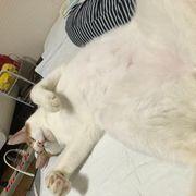 soraさんのアイコン