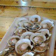 竜遁さんのアイコン