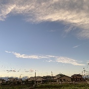 t.さんのアイコン