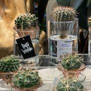 Ree*****さんのアイコン