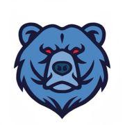 Blue bearさんのアイコン
