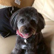 b5d*****さんのアイコン