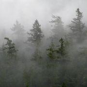 710AshburyStreetさんのアイコン