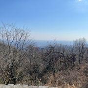 987*****さんのアイコン