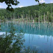 Michaelさんのアイコン