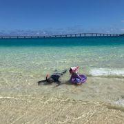 ケリースクーターさんのアイコン