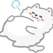 利確ポメラニアンさんのアイコン