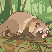 地を這うタヌキさんのアイコン