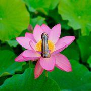 僥倖ハンターさんのアイコン