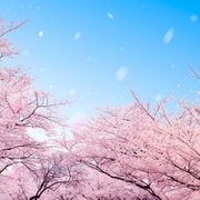 たらさんのアイコン