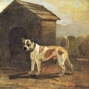 パンにはやっぱりネオソフトさんのアイコン