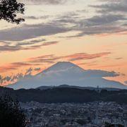 Zさんのアイコン