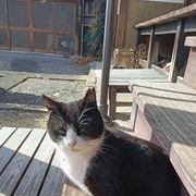 56e*****さんのアイコン