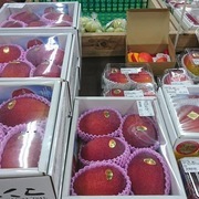 マンゴーさんのアイコン