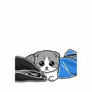 にゃん丸さんのアイコン
