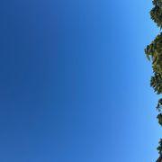 株初心者さんのアイコン