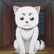 灼熱の定春さんのアイコン