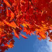 65b*****さんのアイコン