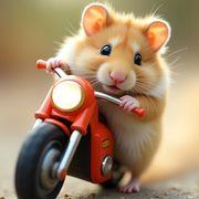 ﾌｧ*ﾑ*ﾀ*ﾛ*ｰ*さんのアイコン