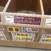 たまさんのアイコン