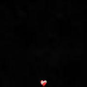 俺たちのフェラーリさんのアイコン