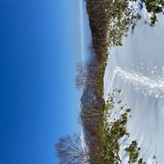 山歩きさんのアイコン