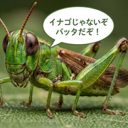 新世界のバッタさんのアイコン