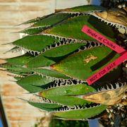 cd1*****さんのアイコン