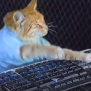 408*****さんのアイコン