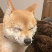 powerさんのアイコン