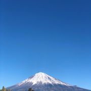 マメコロリンさんのアイコン