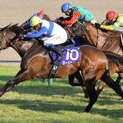 ロードカナロアさんのアイコン