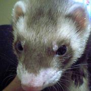 puty*****さんのアイコン