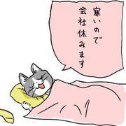 負け知らずのマイケルさんのアイコン