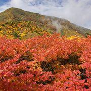 温泉マンさんのアイコン