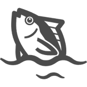 kk72さんのアイコン