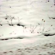 キタハマンさんのアイコン