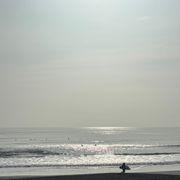 たぬきさんのアイコン