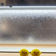 ﾎﾟﾝｺﾂさんのアイコン