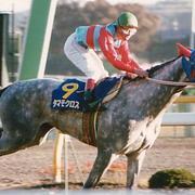 玉藻十字さんのアイコン