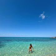 あっちゃん♀さんのアイコン