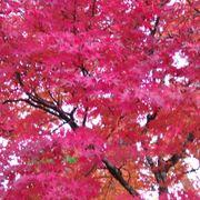 0f8*****さんのアイコン