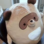 ぴろさんのアイコン