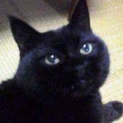 くろさんさんのアイコン