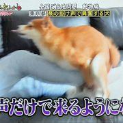 ぜうすさんのアイコン