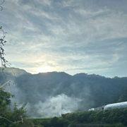 Life_enjoysugiさんのアイコン