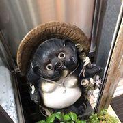 必殺低位我万株炸裂砲さんのアイコン