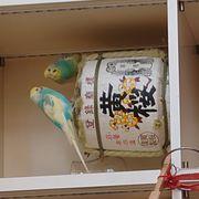 剛力ケンさんのアイコン