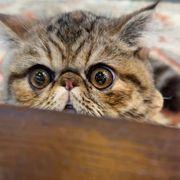 mu_mu_(*&acute;︶`*)♡さんのアイコン