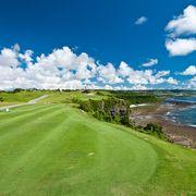 一粒万倍＆家内安全さんのアイコン